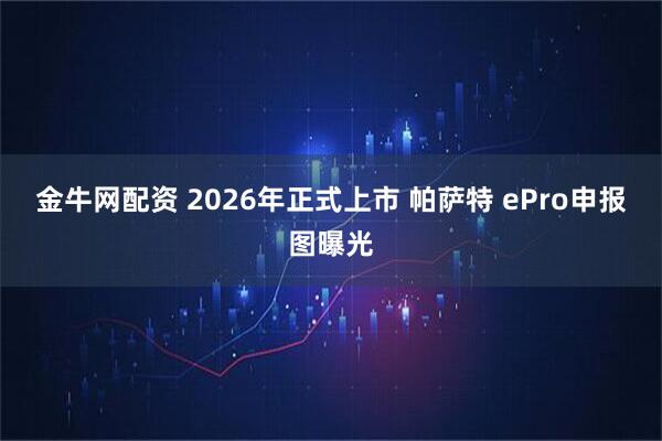 金牛网配资 2026年正式上市 帕萨特 ePro申报图曝光